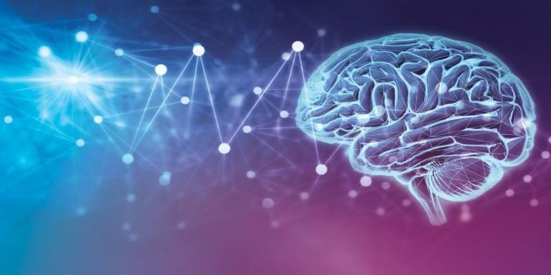 Clinical Overview of Epilepsy: Causes, Seizure Classifications, and Treatment Approaches
