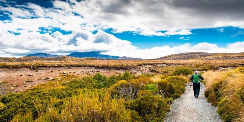 Considering a Guided Hike in New Zealand: What to Expect